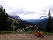 Olympic National Park