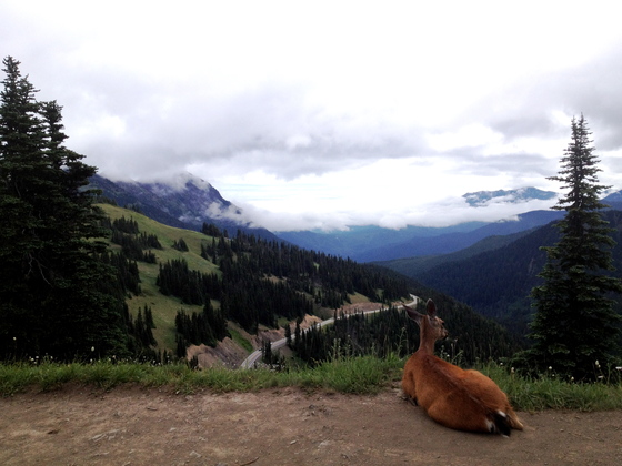 Olympic National Park