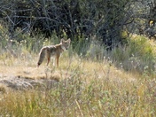 Seedskadee National Wildlife Refuge Wyoming