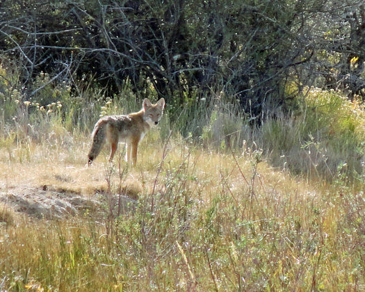 Seedskadee National Wildlife Refuge Wyoming