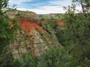 Theodore Roosevelt National Park 