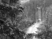 Gifford Pinchot National Forest