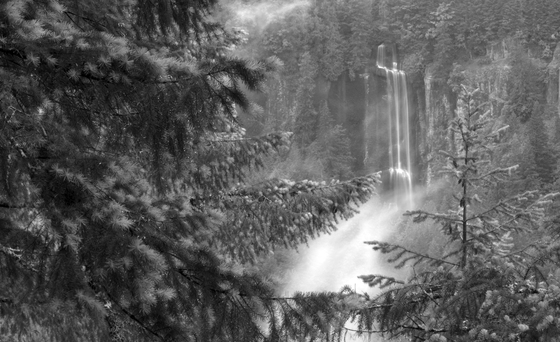 Gifford Pinchot National Forest