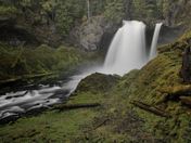 Willamette National Forest
