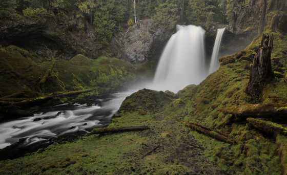 Willamette National Forest
