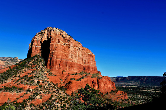 Coconino National Forest