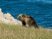Glacier National Park