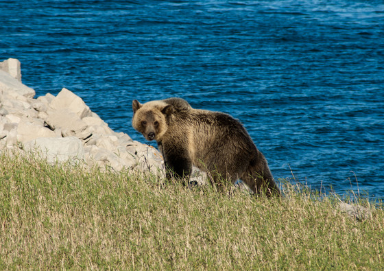Glacier National Park