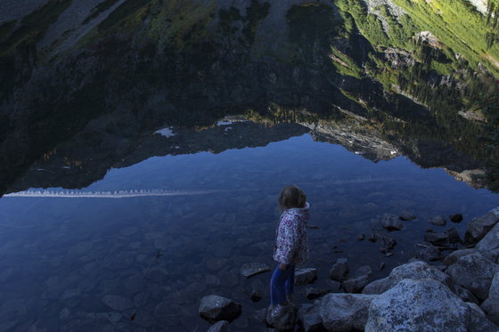 Okanogan-Wenatchee National Forest