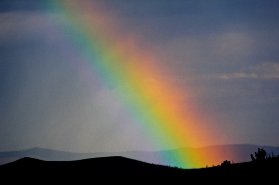 Dixie National Forest