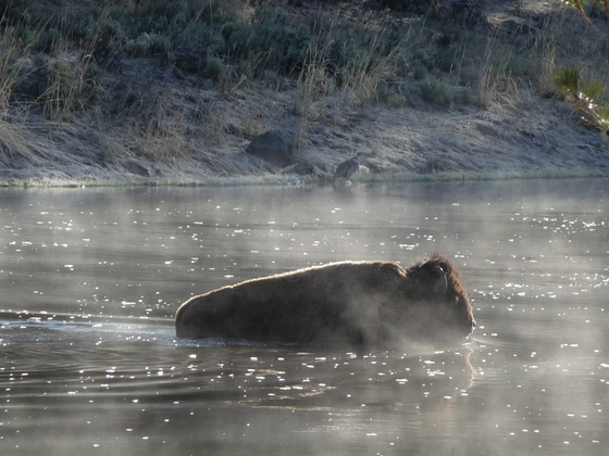 Yellowstone National Park
