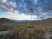 Piper Mountain Wilderness