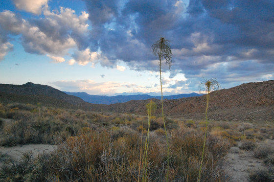 Piper Mountain Wilderness