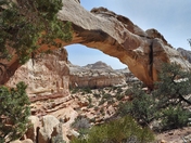 Capitol Reef National Park