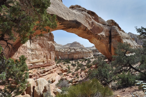 Capitol Reef National Park