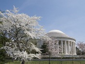 Jefferson Memorial