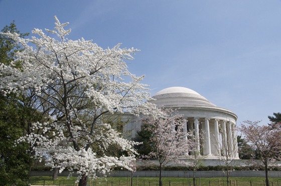 Jefferson Memorial