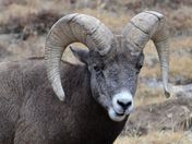 Rocky Mountain National Park