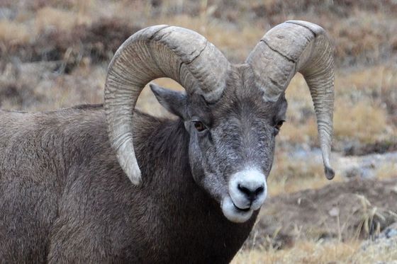Rocky Mountain National Park