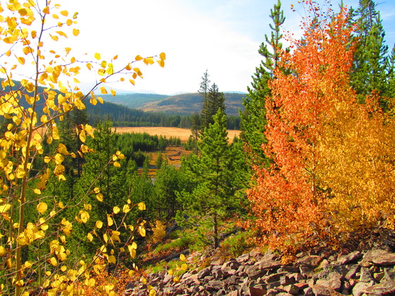 Yellowstone National Park