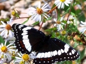 Bryce Canyon National Park