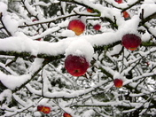 5a. Is it winter already?