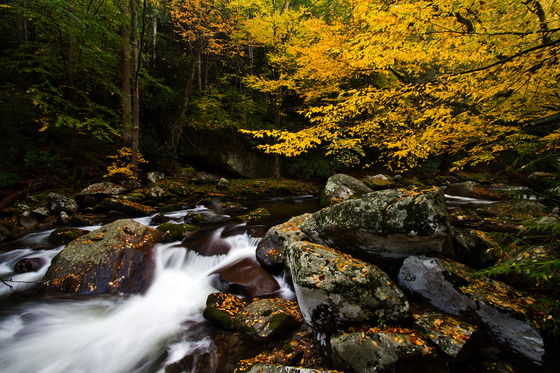 Great Smoky Mountains National Park