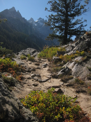Grand Teton National Park