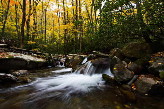 Great Smoky Mountains National Park