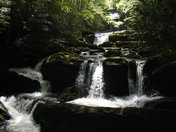 Great Smoky Mountains