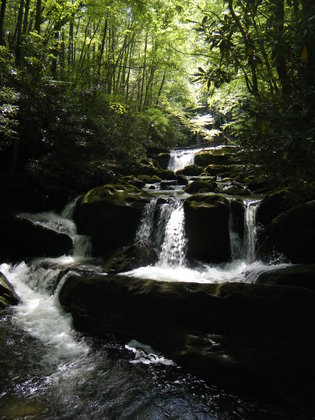 Great Smoky Mountains