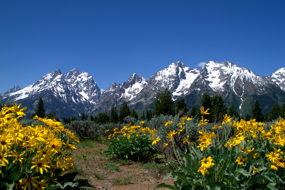 Grand Teton National Park