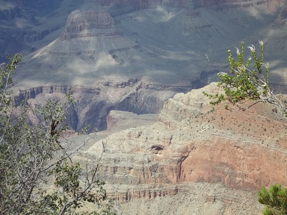 GRAND CANYON