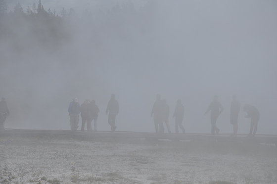 Yellowstone Nat Park