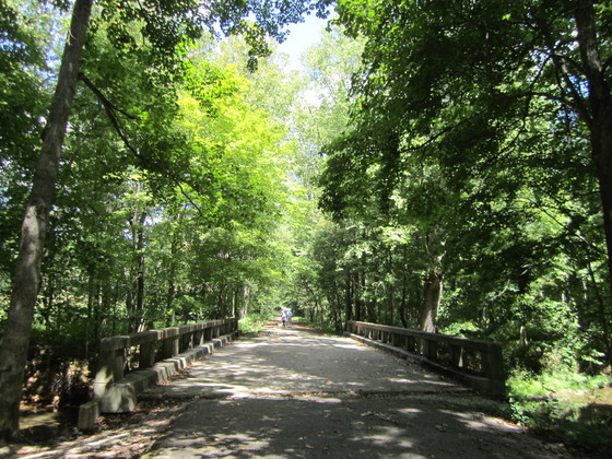 Hoosier National Forest