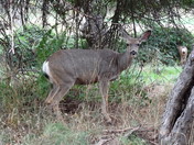 Yosemite National Park