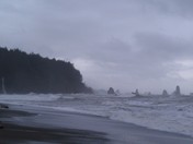 Olympic National Park