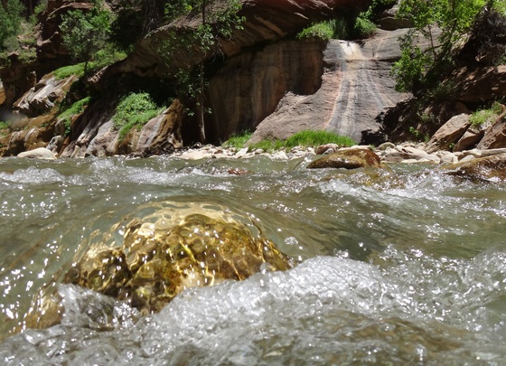 Zion National Park