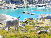 Alpine Lakes Wilderness