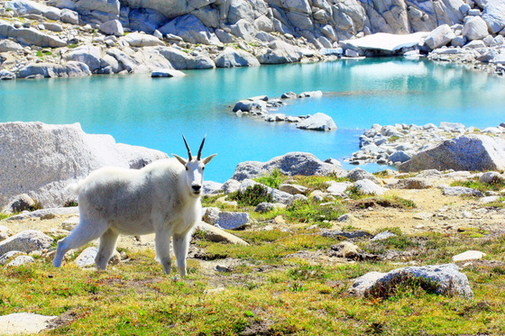 Alpine Lakes Wilderness