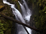 Olympic National Park ,Washington State