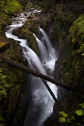 Olympic National Park ,Washington State