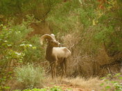 Grand Canyon National Park