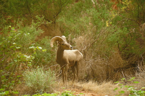 Grand Canyon National Park