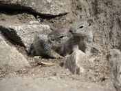 Yosemite National Park