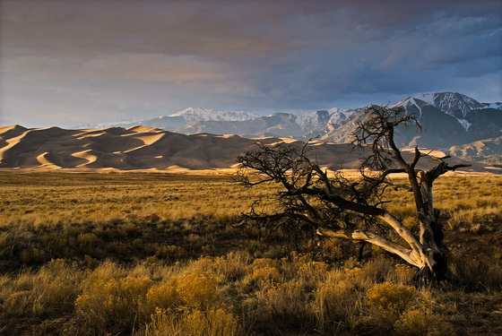 Great Sand Dunes National Park
