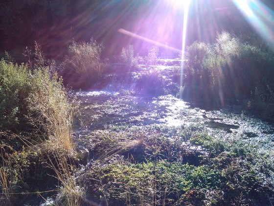 Cascade Springs, American Fork Canyon, American Fork, Utah