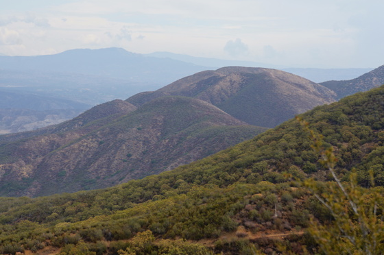 Cleveland National Forest