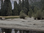 Yosemite National Park