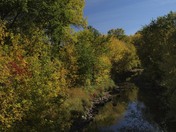 Autumn on the Dead Horse Creek